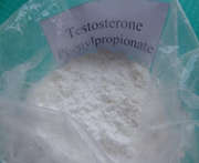 Testostérone Phénylpropionate Anabolisants Hormone stéroïde Testosterone en poudre CAS 1255-49-8